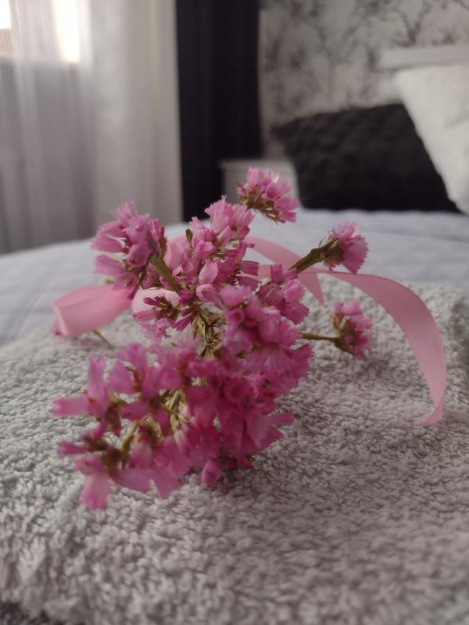 Apartament Nad Jeziorakiem Iława Εξωτερικό φωτογραφία